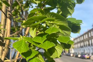 💚 It's hard to go back 💚