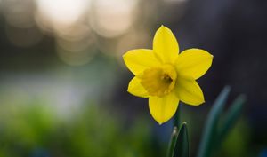 LTN news round-up #5